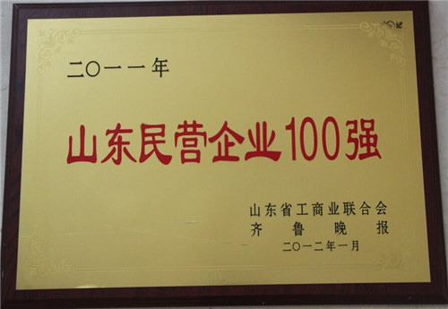 山東省民營企業100強